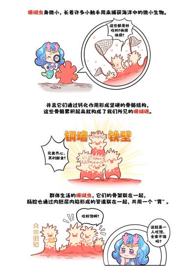 骨骼！！珊瑚是珊瑚虫的骨骼！