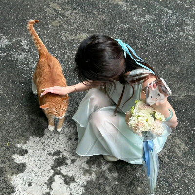 姐妹
