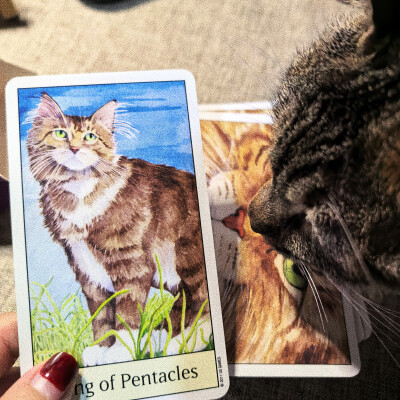 . ⁺ ⊹lovely .˚˖。 日常