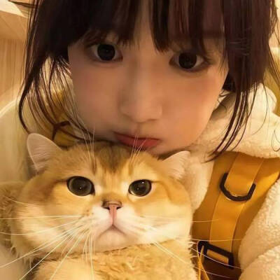 情头