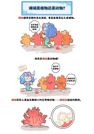 骨骼！！珊瑚是珊瑚虫的骨骼！