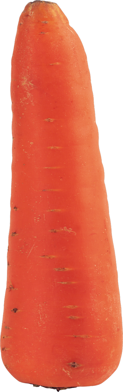 蔬菜