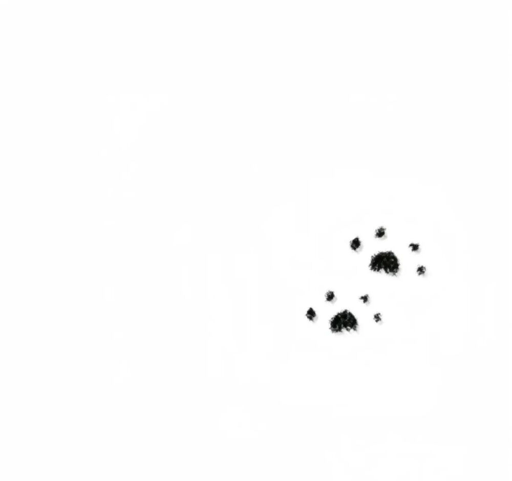 头像背景套图