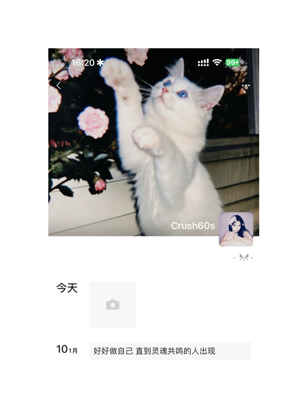 wb：Crush60s