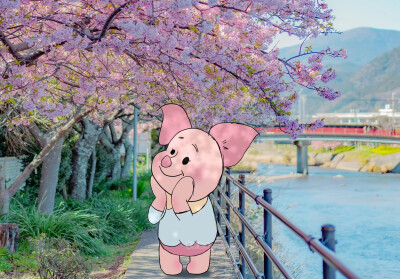 iPad壁纸｜电脑壁纸
侵删致歉