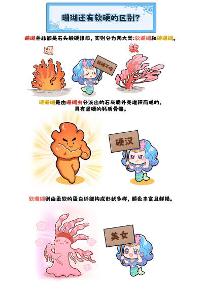 骨骼！！珊瑚是珊瑚虫的骨骼！