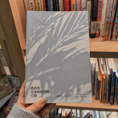 . ⁺ ⊹lovely .˚˖。 日常