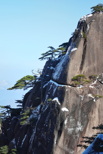 黄山雾凇