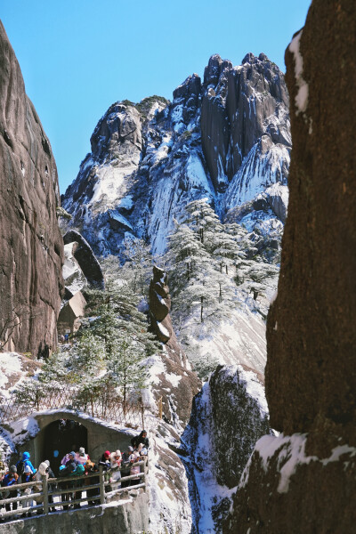黄山雾凇