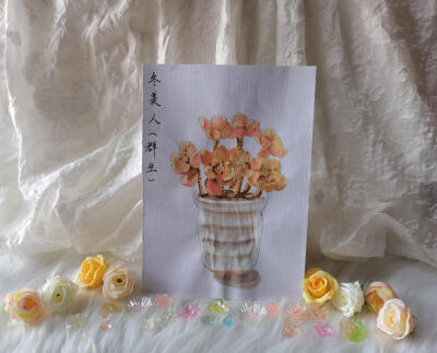 18 冬美人（绘画 | 水彩 | 果花甘02）
2018.05.25
这幅也是冬美人。这也是我第一次画出对比强烈的光感。
和之前那副颜色浓烈的不同，这一张的冬美人，很有冬日暖阳的感觉。
像是在一个静谧的下午，太阳暖融融地照着…