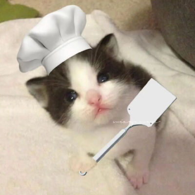 猫猫