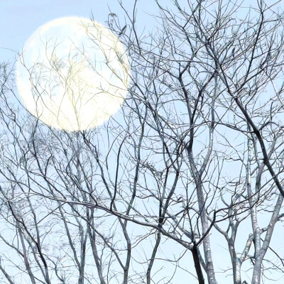 李知恩