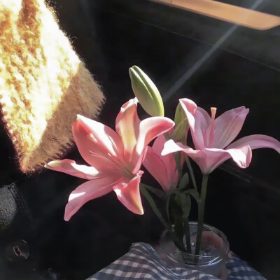 百合