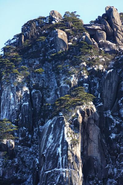 黄山雾凇