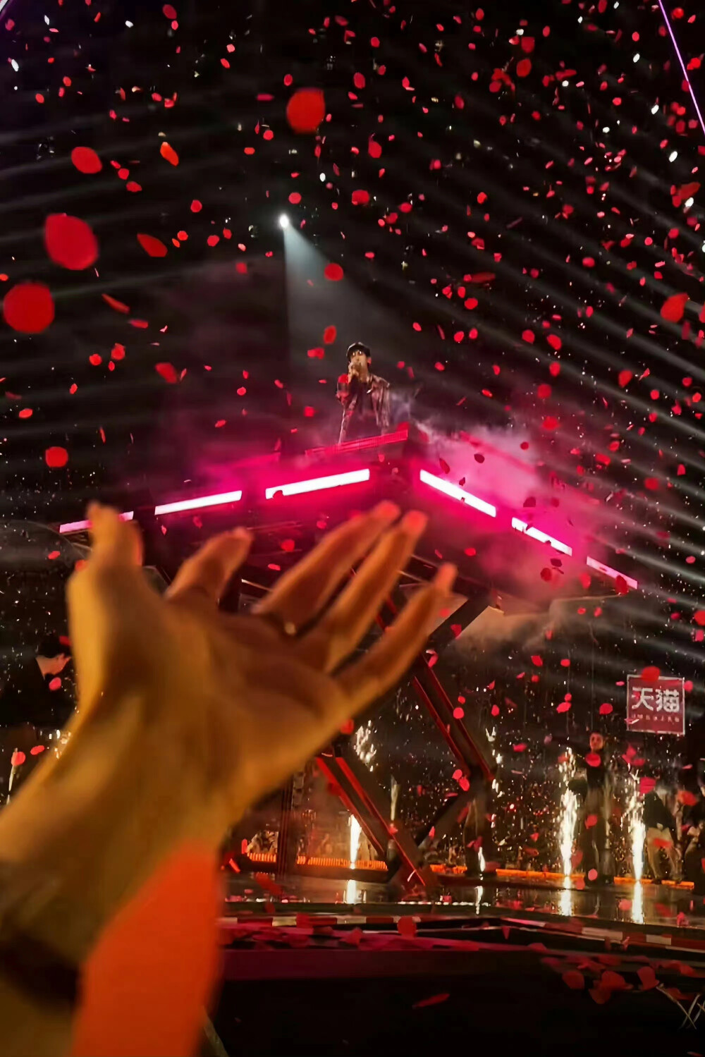 易烊千玺玫瑰少年