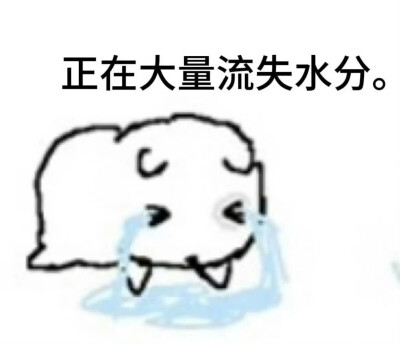 表情包