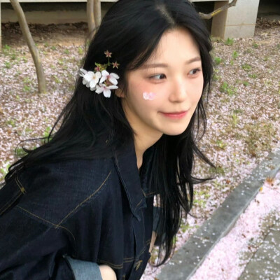 白知宪