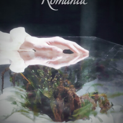 斑驳的城门盘踞着老树根