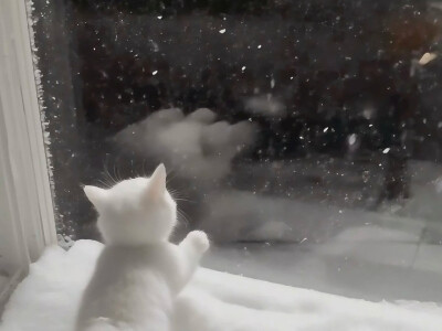 头像搭配