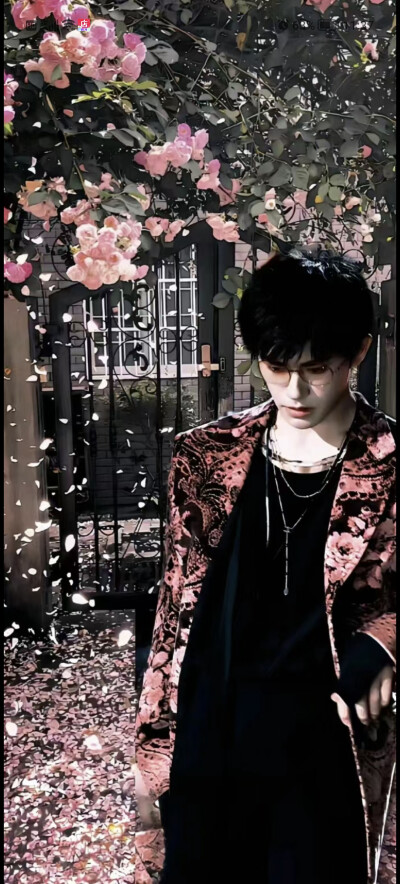 易烊千玺玫瑰少年