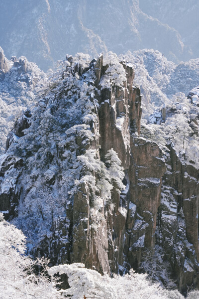 黄山雾凇