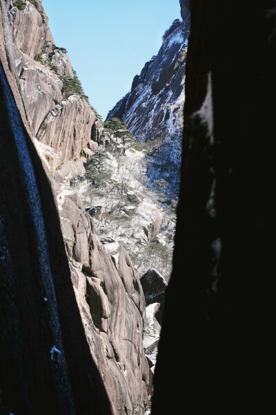 黄山雾凇