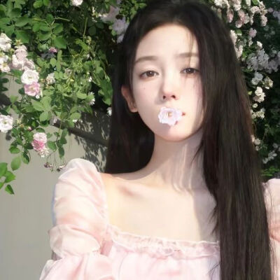 套图