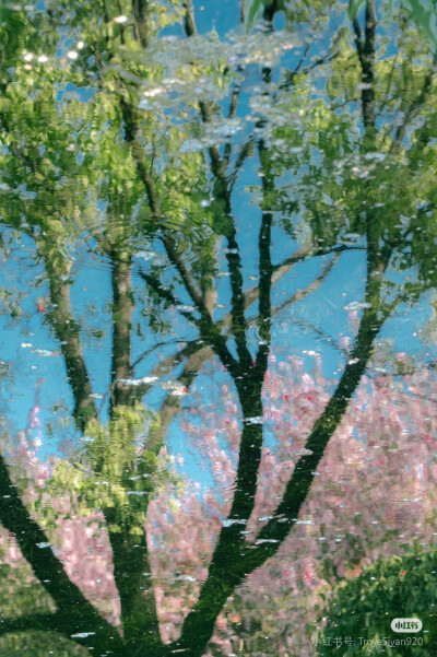 花语