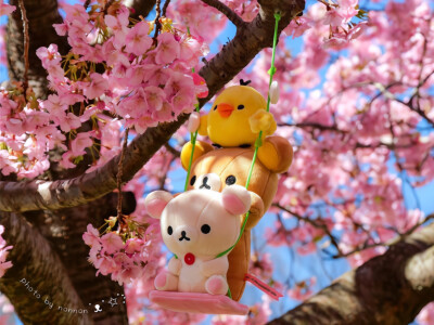电脑壁纸