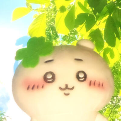 图源小红薯：猫蛋蛋大王