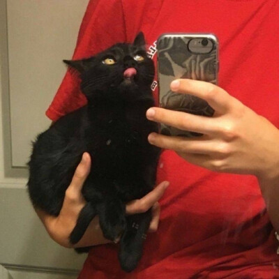 喵