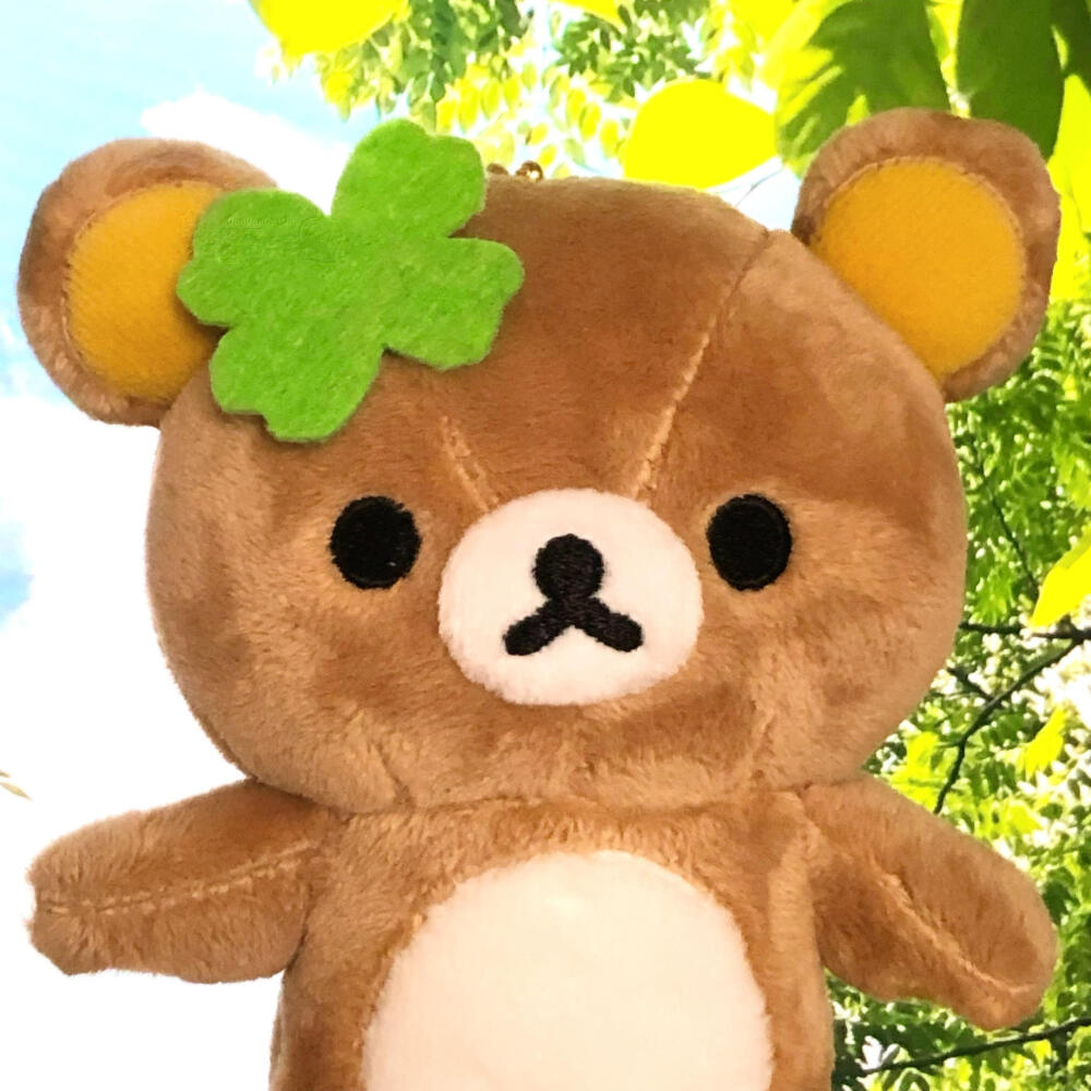 图源小红薯：猫蛋蛋大王