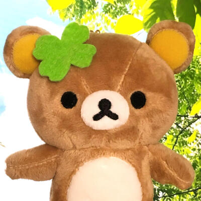 图源小红薯：猫蛋蛋大王