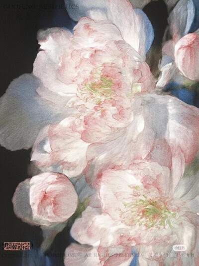 花语