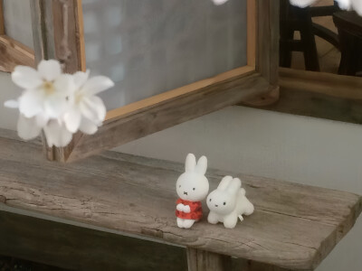 电脑壁纸
