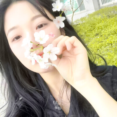 白知宪