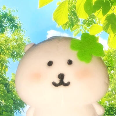 图源小红薯：猫蛋蛋大王