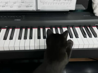 喵
