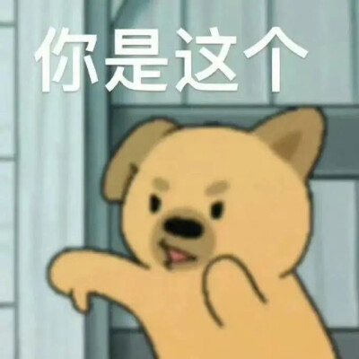 表情包
