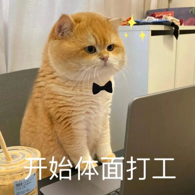 表情包
