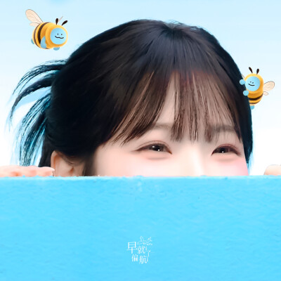白知宪