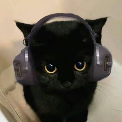 喵