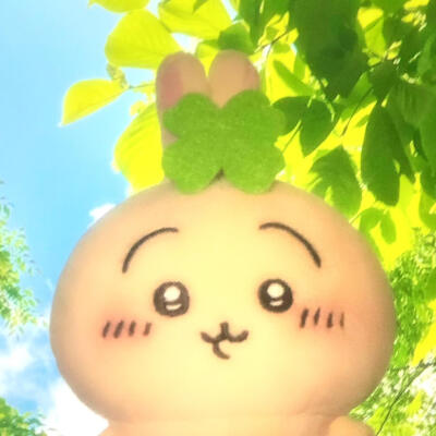 图源小红薯：猫蛋蛋大王