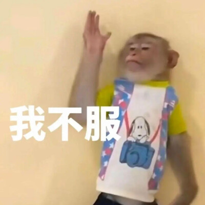 表情包
