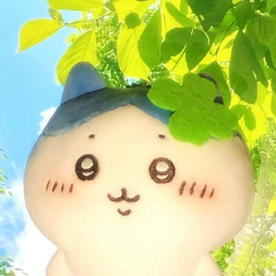 图源小红薯：猫蛋蛋大王