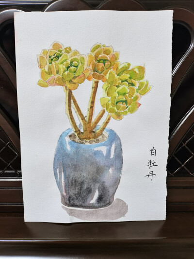 19 白牡丹（绘画 | 水彩 | 果花甘02）
2018.05.25
陶瓷罐子非常抢眼。渐变的深色釉料，夜色似的，营造出静谧的浪漫。
植物是偏黄绿色的，带点儿粉。看着暖洋洋的。整体一搭配，看起来好像笼罩在夕阳的光照里。
画植…