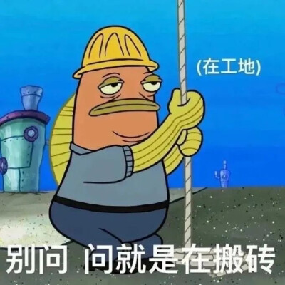 表情包
