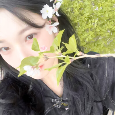 白知宪