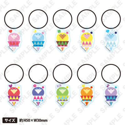 秘密的偶像公主