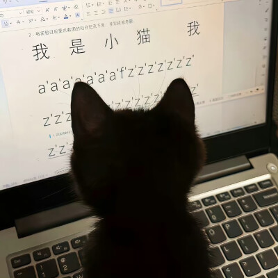 喵